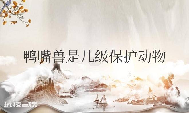 鸭嘴兽是几级保护动物-图片1